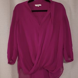 Babaton 100% silk blouse